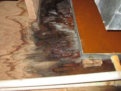 About water damage restoration service - basement flood restoration services experts in Hamilton